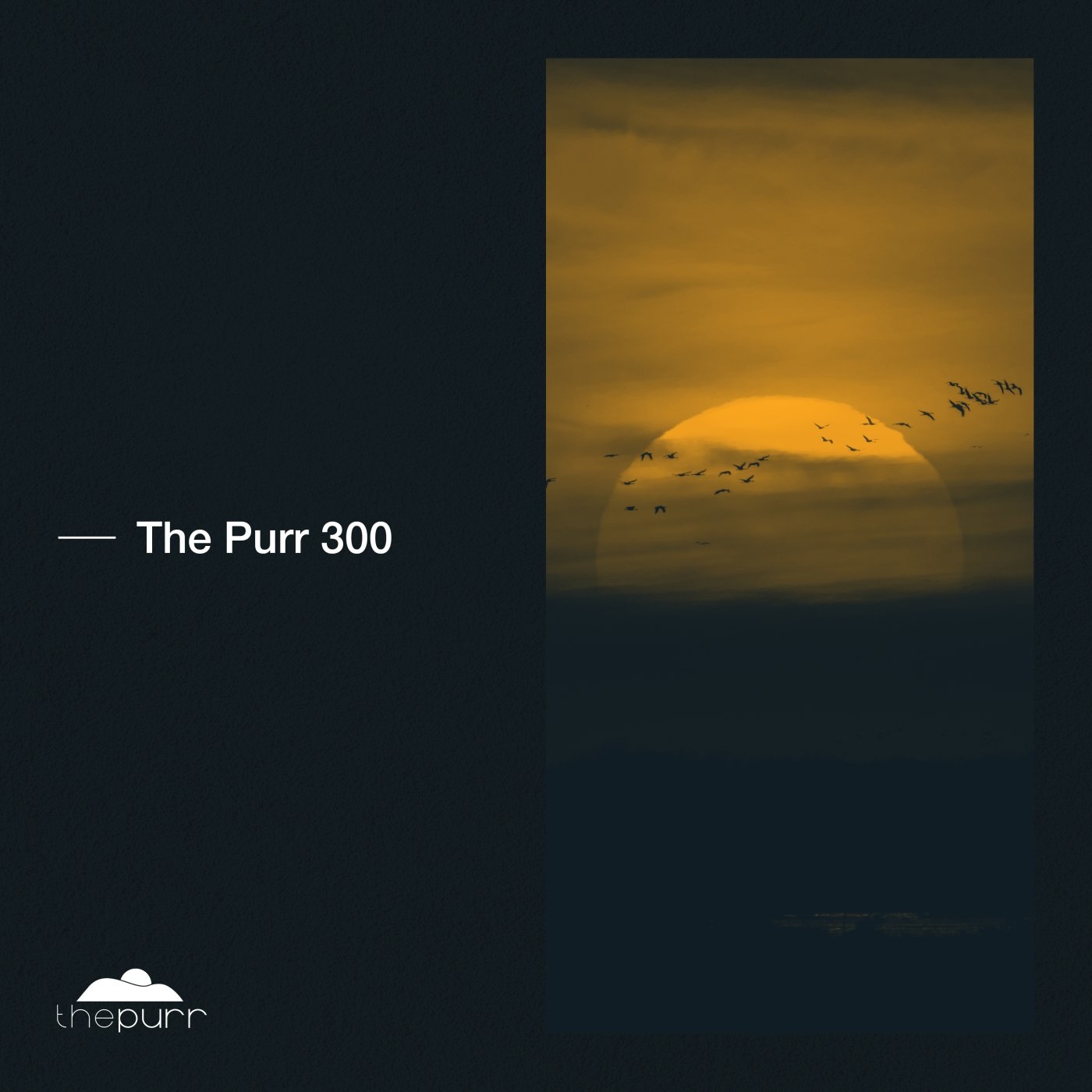 VA - The Purr 300 [PURR300]